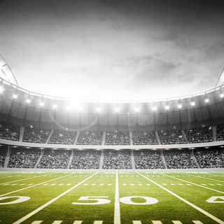 Safe Stadiums Gallery 6